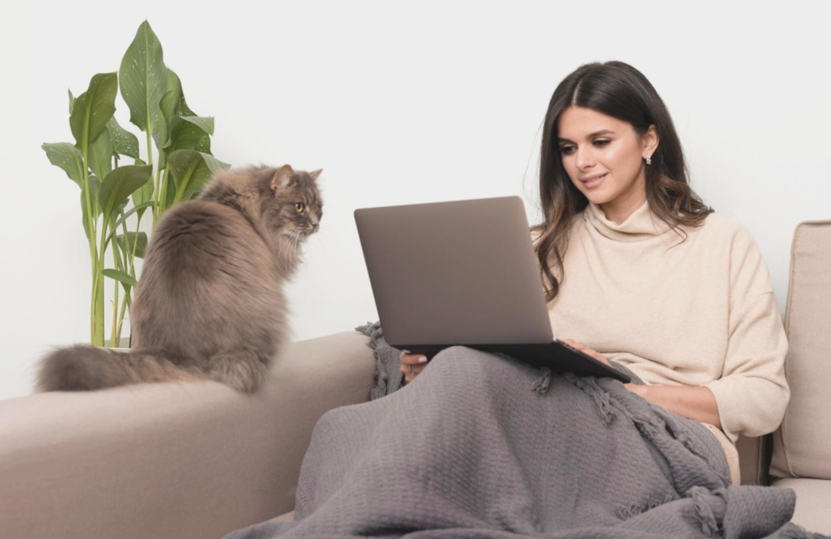 Budget variance report showing actual versus planned expenditure analysis